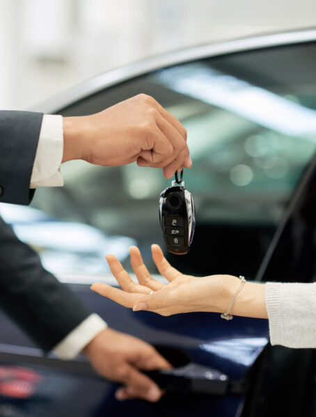 A premium fleet providing high-end mobility and executive transportation services.